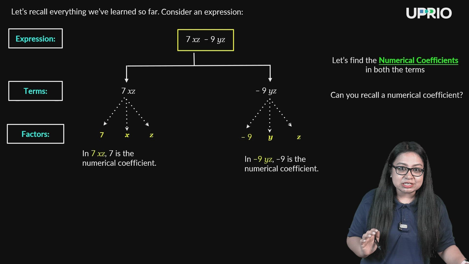 Like and Unlike Terms