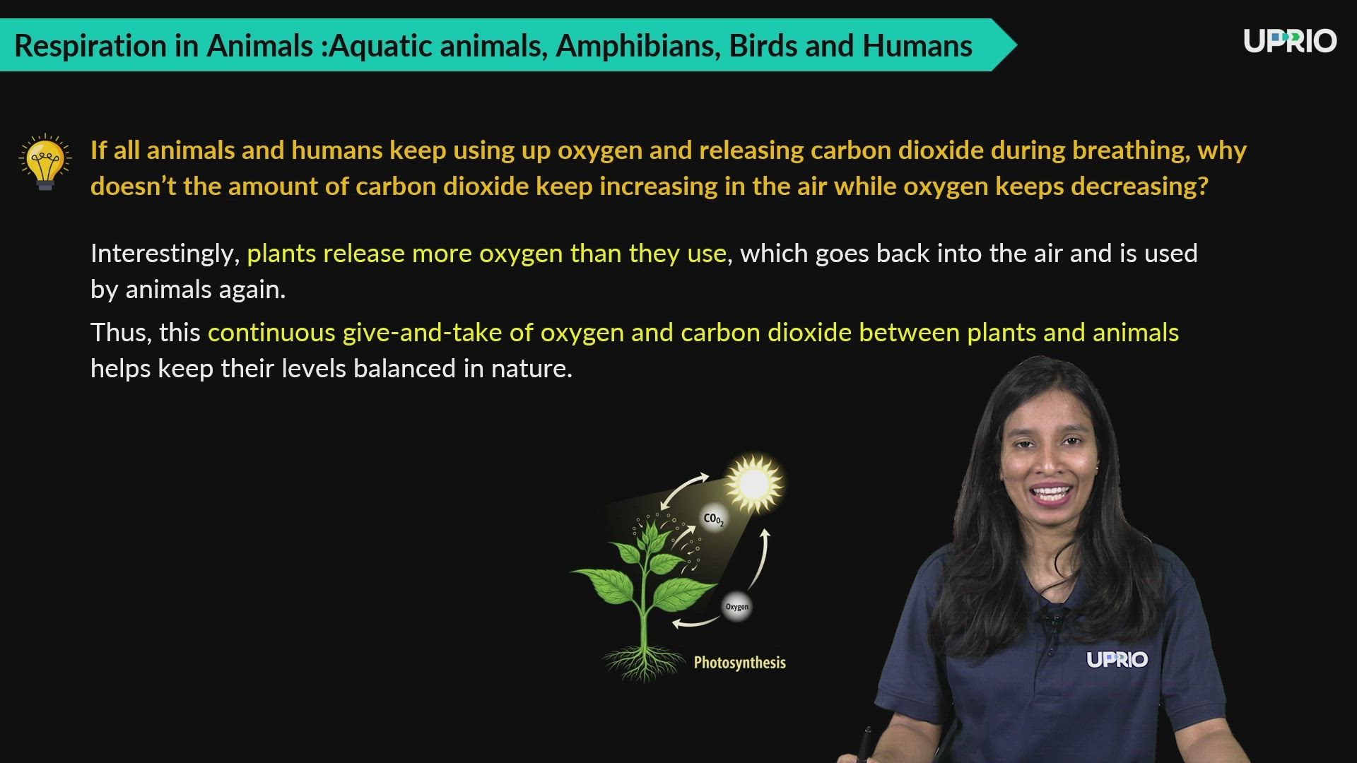 Respiration in animals : Aquatic animals, amphibians, Birds and Humans