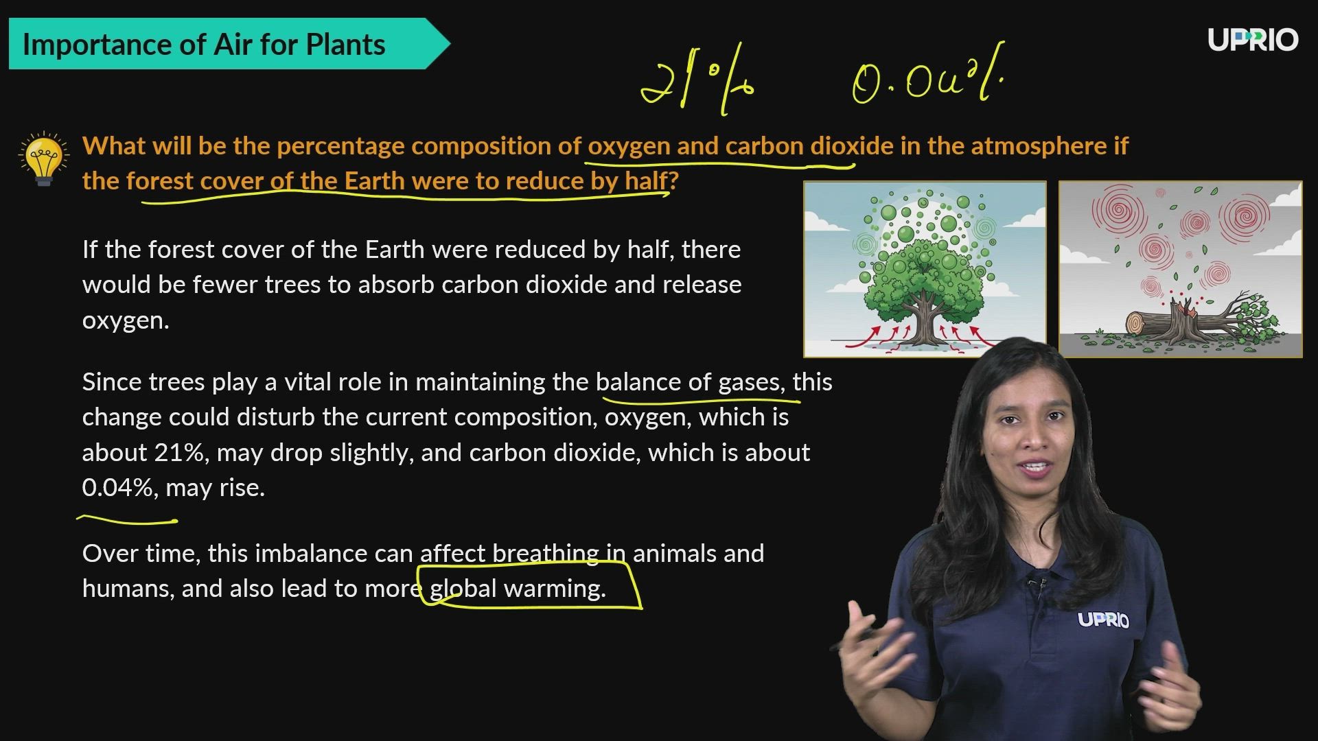 Importance of Air for Plants